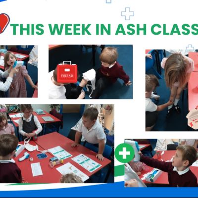 AshClass